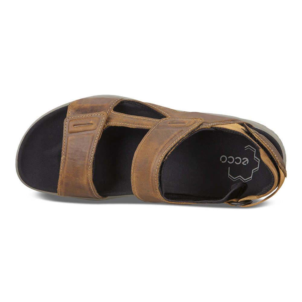 Sandalias Hombre - ECCO X-Trinsic Flat - Marrom - AGM452138